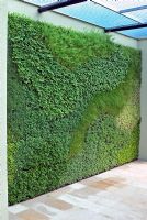 Un mur d'herbes vivantes planté d'herbes faciles à cultiver - Holiday Inn Green Room au RHS Hampton Court Flower Show 2008