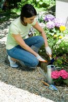 Femme creusant un trou pour planter un hortensia