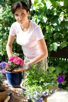 Femme plantant des hortensias en pot émaillé bleu