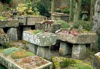 Le jardin troublé - Rodmarton Manor, Gloucestershire