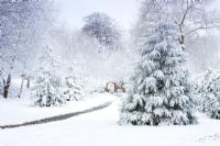 Arbres couverts de neige et chemin à Honeybrook House Cottage, Worcestershire en avril