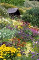 Parterre de fleurs mélangées à Little Larford Cottage dans le Worcestershire