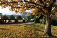 Couleurs d'automne de Quercus par le chemin balustrade dans les jardins italiens, Trentham Gardens, Staffordshire
