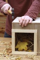 Étape par étape 8 de la fabrication d'une maison de hérisson - Clouage du couvercle sur une boîte en bois pleine de paille et de feuilles sèches