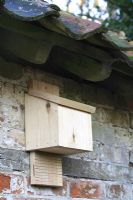 Étape par étape 7 de fabrication d'une boîte à chauves-souris à partir d'une seule longueur de bois - La boîte à chauves-souris finie sur un mur abrité sous des avant-toits. Les boîtes doivent être montées dans un arbre ou un mur de jardin à une hauteur comprise entre 2,5 et 5 mètres