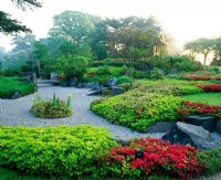 L'aube sur le paysage japonais, RGB Kew. Plantes dont Pachysandra terminalis, Rhododendron 'Fête des mères' et Iris laevigata jaune.