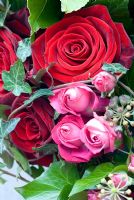 Détail de la couronne de Saint Valentin faite de roses roses et rouges avec du lierre