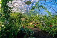 Le Bio-Dome contenant des plantes originaires des forêts tropicales humides dans 'The Garden of Eden' au RHS Chelsea Flower Show