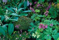 Plantation de couvre-sol, y compris Convallaria et Dicentra dans le jardin 'Memories of Rex' au RHS Chelsea Flower Show