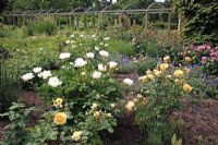 Parterre de chalets mélangés de Rosa, Paeonia, Geranium et Lavandula, pergola en bois en arrière-plan - Sexby Garden, Peckham Rye Park, Londres, Heritage Lottery Fund