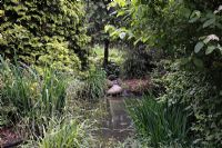 Étang avec petite cascade, Iris pseudocorus, conifères et bambous - jardin japonais, Peckham Rye Park, Londres