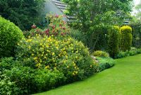 Hypericum 'Hidcote' et Rosa 'Grootendorst' en parterre de fleurs mélangé à côté de la pelouse - Cerne Abbas, Dorset