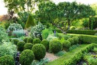 Jardin à la française avec des boules de buis taillées, des chemins de gravier, des roses, des plantes vivaces herbacées et vue sur les pelouses avec haie de buis et pommier antique - Cerne Abbas, Dorset