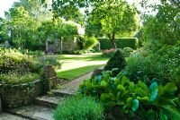 Marches basses dans jardin paysager avec pelouse et dépendance, Bergenia en parterres et haie de hêtres - Cerne Abbas, Dorset
