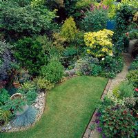 Vue d'ensemble du jardin de la ville avec pelouse et plantation mixte - Barnet, Londres
