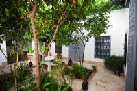Jardin moderne avec orangers - Riad Dar Hanane, Marrakech