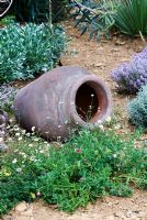 Pot en terre cuite entouré de plantations d'herbes et d'Erigeron karvinskianus - Dorset Water Lily Garden - RHS Hampton Court Flower Show