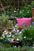Boîte à outils jardiniers et trug rose dans un jardin