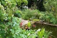 La zone de l'étang avec Angelica et Primulas au premier plan - Eldenhurst