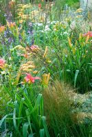 Hemerocallis, Achillea 'Terracotta' et Stipa tenuissima - The Traveller's Garden with Bradstone, RHS Hampton Court Flower Show 2008