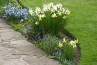 Petit parterre de fleurs à côté de la pelouse et du chemin avec Chionodoxa, Narcissus et Muscari