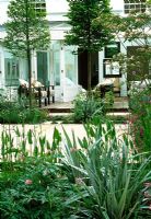 De cet appartement de jardin vert pâle, des portes coulissantes s'ouvrent sur une cour intérieure. L'espace est divisé par des charmes blanchis et des pensionnaires de vivaces délicates et Astelia chathamica.