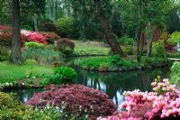 Montrant l'étang dans la zone 'Home Wood' et les environs de Rhododendron et Acer au printemps - Exbury Gardens, Hampshire
