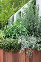 Herbes, y compris Thymus, Salvia officinalis et Rosmarinus poussant dans un pot en bois dans The Children's Society Garden - Médaillé d'or pour Urban Garden au RHS Chelsea Flower Show 2009