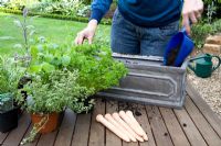 Planter un pot d'herbes mixtes - Ajouter du compost