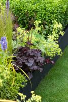 Heuchera 'Obsidian' avec Alchemilla mollis, Stipa tenuissima et Buxus sempervirens - Une retraite urbaine de Paul Titcombe - BBC Gardeners 'World Live 2009 - Médaillé d'or