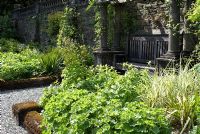 Parterres de fleurs herbeuses et siège, avec piliers en pierre et mur adjacents, dans le jardin en terrasse à Rydal Hall, Cumbria, au printemps