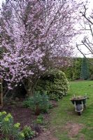 Brouette à côté du parterre de fleurs au printemps à Whit Lenge Gardens