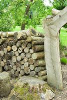 Mur de bois sur le bord du jardin de l'éducation - Sir Harold Hillier Gardens / Hampshire County Council, Romsey, Hants, UK