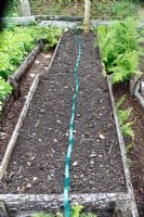 Système d'arrosage de jardin - Étape 2 - Dérouler le tuyau d'infiltration pour déterminer la longueur requise