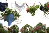 Cultivez votre propre soutien-gorge et pantalon-pantalon - RHS Hampton Court Flower Show 2009