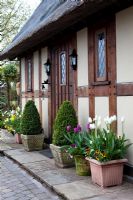 Tulipes à Little Larford Cottage, Worcestershire - Tulipes en pots par la porte d'entrée du chalet