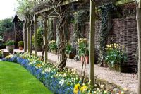 Tulipes à Little Larford Cottage, Worcestershire - Pergola et chemin de gravier