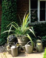 Collection d'anciens arrosoirs entourant un pot mixte - Jardin de Charlotte Molesworth, Kent