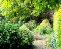 Banc en zone pavée, plantes choisies pour le feuillage et vue de couverture avec des boules topiaires - Jardin de Charlotte Molesworth, Kent