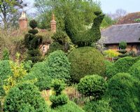 Vue sur le topiaire jusqu'à la maison - Jardin de Charlotte Molesworth, Kent