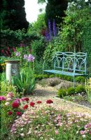 Géraniums, williams doux, iris, thymus et delphiniums dans le jardin d'herbes aromatiques - Cerne Abbas, Dorset