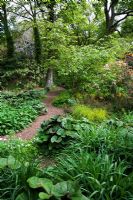 Jardin humide, Knoll Gardens, Dorset en mai avec Ligularia 'Desdemona', Carex elata 'Aurea', Salix fargesii, Azalea 'Honeysuckle' et Euphorbia 'Fireglow'