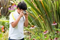 Jeune, Garçon, photographier, fleurs