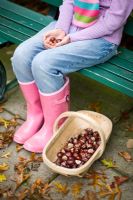 Jeune fille assise dans le jardin avec un trug en bois plein de marrons
