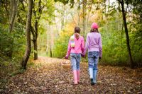 Enfants marchant dans la forêt d'automne