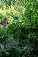 Des rayons de soleil illuminent le feuillage exotique et les mobiles en verre dans une jungle de plantation qui crée l'isolement et l'abri dans un jardin de ville étroit