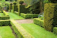 Buxus - Box et Taxus baccata - Couverture topiaire d'if et contreforts avec pelouse en quartiers. Le 'petit jardin', Henbury Hall, Cheshire