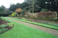 Parterre de plantes herbacées en février - Fellows 'Garden, Clare College, Cambridge