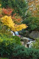 Jardin de Kyoto dans Holland Park