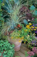 Pot en terre cuite pour la fin de l'été et l'automne - Solanum capsicastrum avec Pyracantha 'Soleil d ' Or', pernettya rose, Gaultheria procumbens, Carex 'Evergold', Elymus magellanicus et Miscanthus sinensis 'Morning Light'